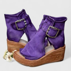 Viola